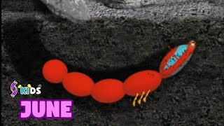 Little Einsteins New Wiggling The Whole Body Clic Cartoon