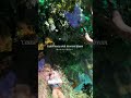 【ディズニーシーに行ってきました。】#ディズニーシー