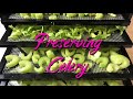 Dehydrating Celery ~ Preserving for the Pantry ~ Food Storage