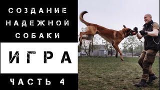 видео: Игра с собакой. Часть 4. картинка: Игра с собакой. Часть 4.