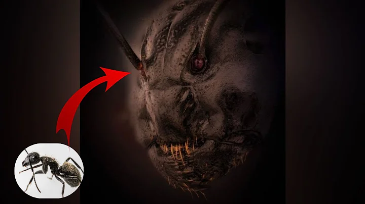 Disturbing and Horrifying Close-Up Pictures Of Insects