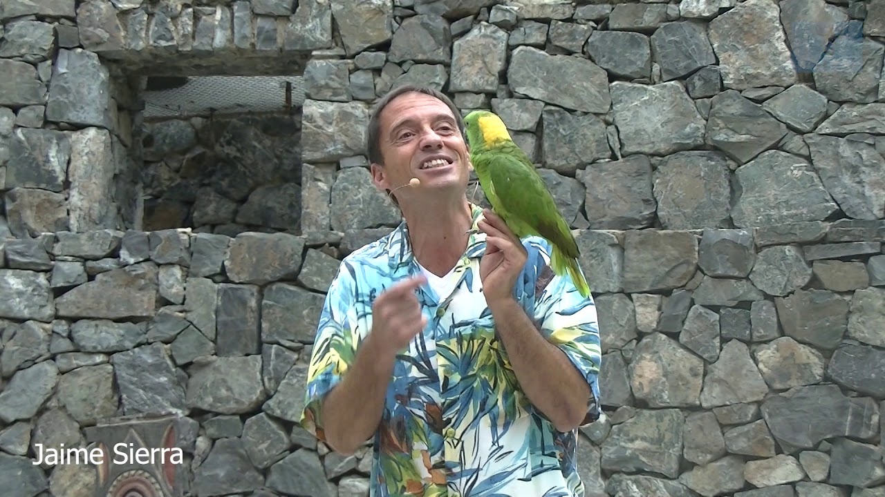 Aves del Paraíso 19 - PortAventura World