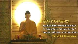 Pháp Đàm NIKAYA – Tại Sao Phải Tu Từ Bi Hỷ Xả ? Từ Thiện khác với Từ Bi như thế nào ?