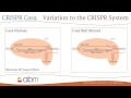 Crispr cas9  a brief introduction