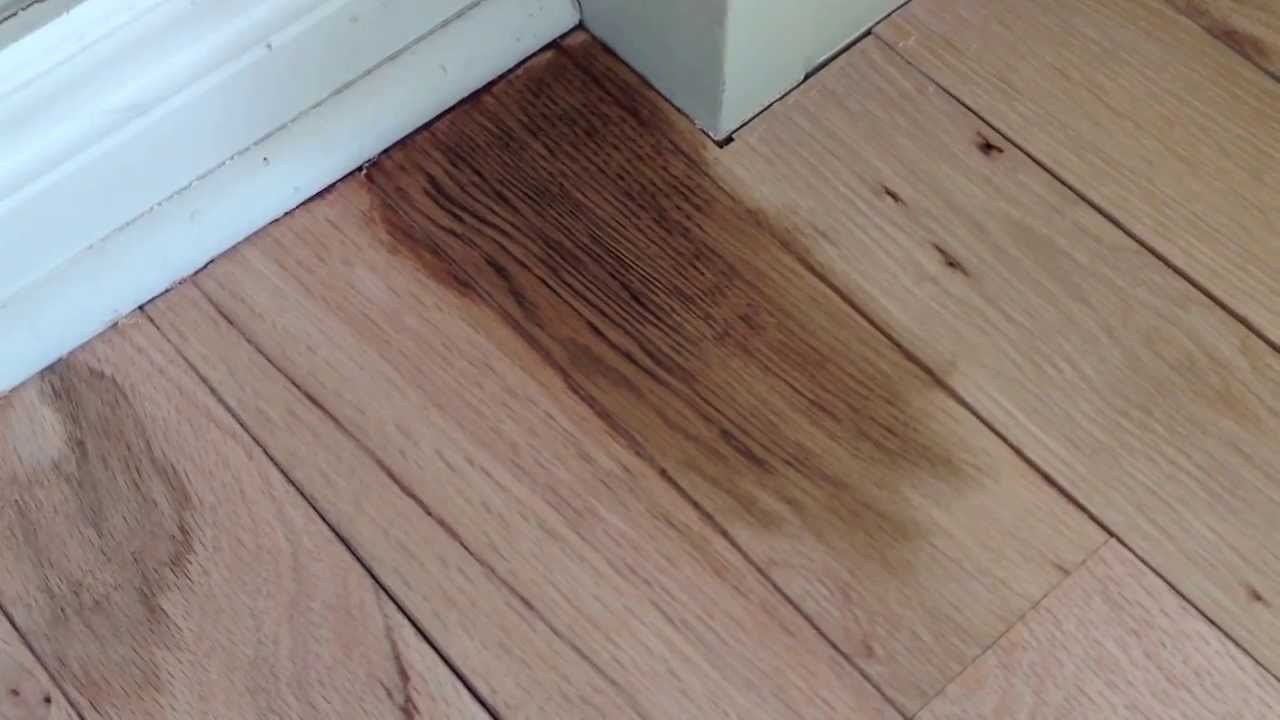 How to prepare a hardwood floor for staining YouTube