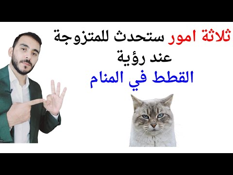 ثلاثة امور ستحدث للمتزوجة عند رؤية القطط في المنام  تفسير حلم رؤية القطط في المنام للمتزوجة