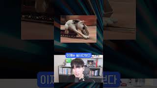 보는 속도보다 만드는게 빨라졌다는 AI 영상 근황
