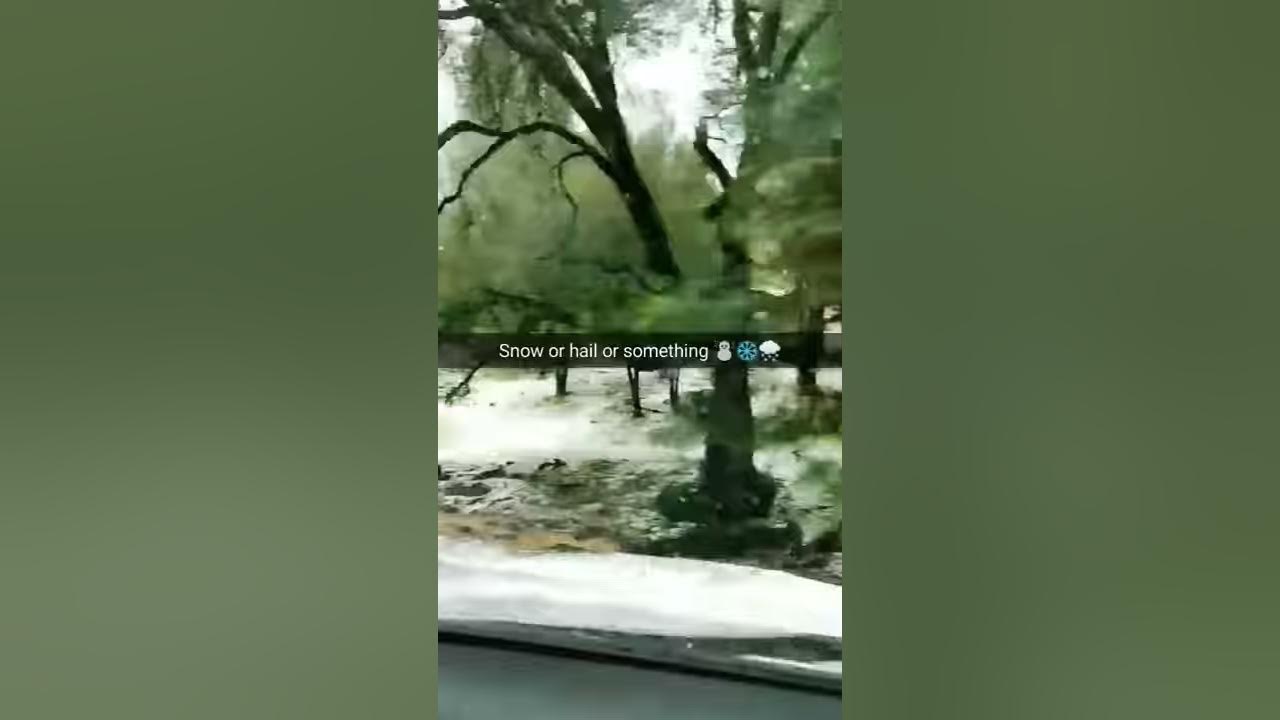 Posthail in Meadow Vista CA YouTube