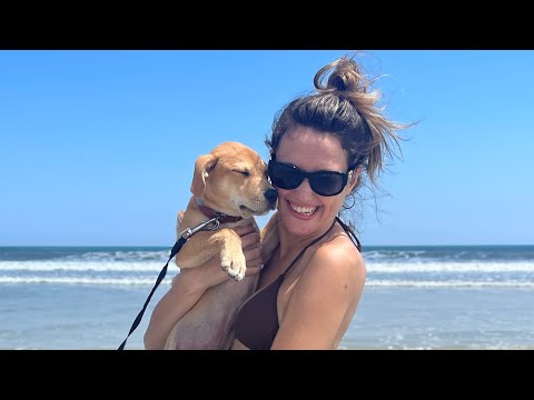 Sonny's First Beach Day + Date Night!