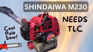 How to FIX a SHINDAIWA / ECHO M230 POLE SAW that LEAKS FUEL and NEEDS some TLC!!