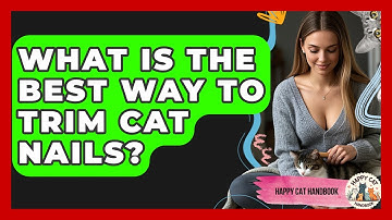 What Is The Best Way To Trim Cat Nails? - Happy Cat Handbook