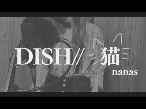 猫 - DISH// +2key covered by nana matsudaira