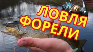 Ловля форели в карпатских реках, выпуск №73 (RUS)