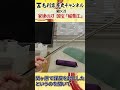 家康の愛刀『国宝 稲葉江』が登場!! #歴史 #国宝 #日本刀 #徳川家康