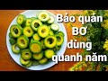 Cách trữ Bơ ăn quanh năm vẫn ngon | Mẹo bảo quản bơ | Hà Ly Cooking