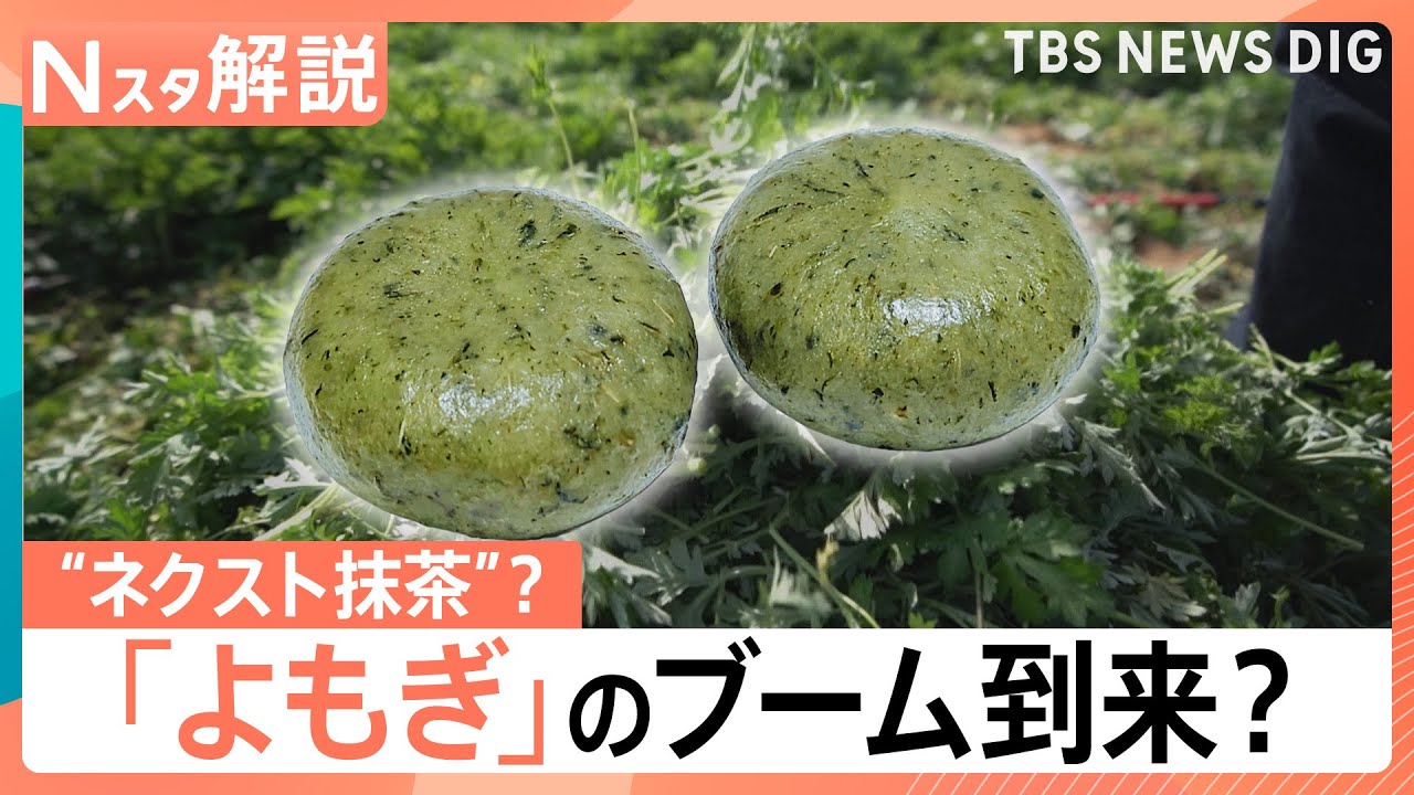 Is mugwort, the 