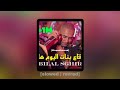 Cheb Bilal Sghir 2024 ماشي ڨاع لبنات اليوم هايمات Solwed Reverb 