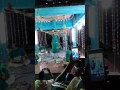 Odia pala