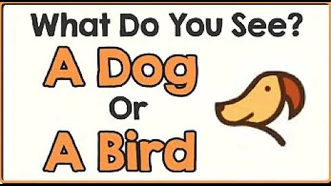 12 ILLUSIONS THAT WILL TEST YOUR BRAIN