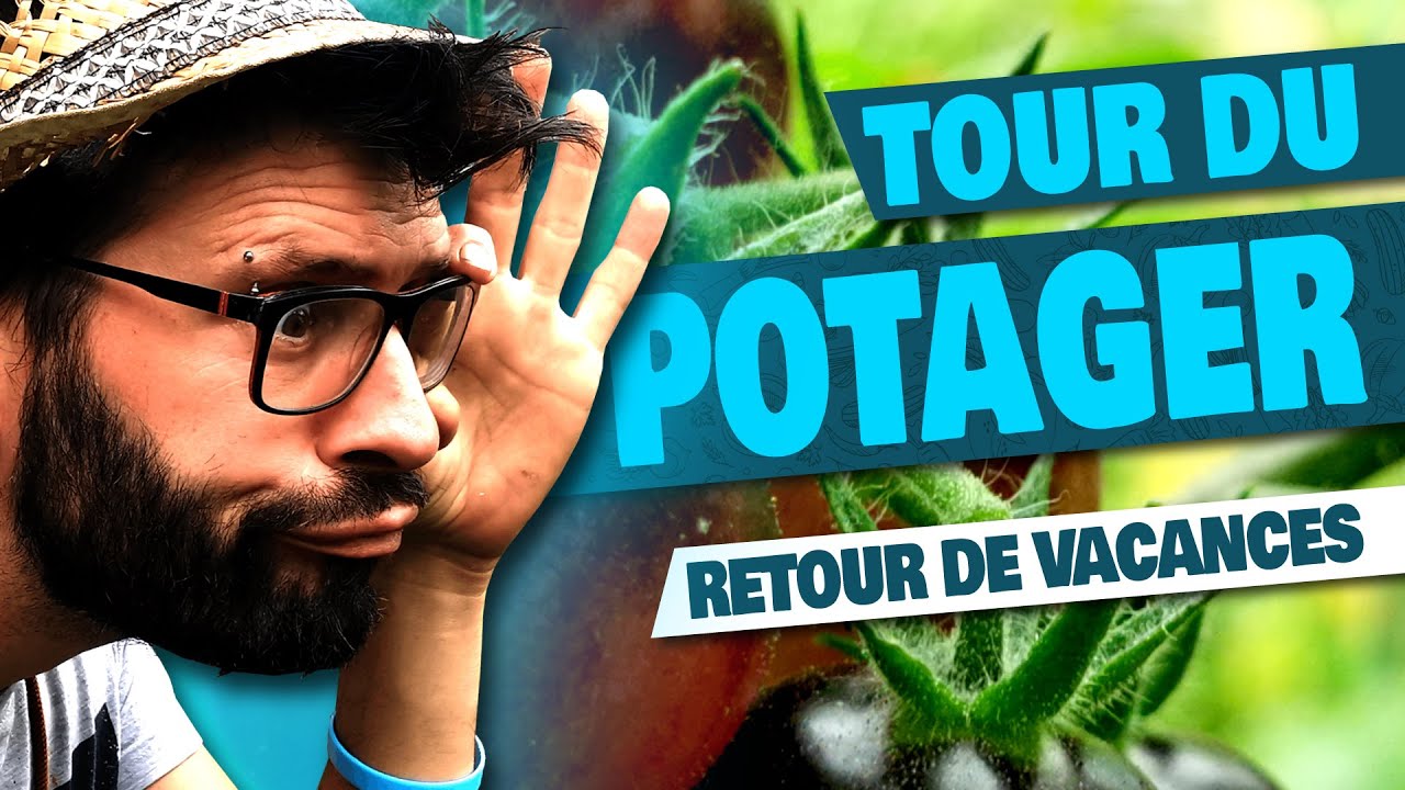 LE POTAGER - Mildiou et jungle!