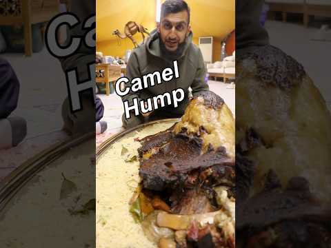 Let's Try CAMEL HUMP