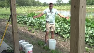 Your Garden Needs This - The Source Has A Huge Impact On Your Plants