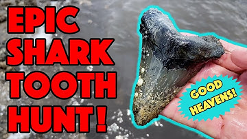 EPIC 12 Minutes of Megalodon Shark Tooth Hunting!! (UNCUT!)