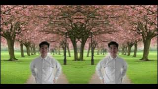 Oji Saputra - Dj Vika Vika