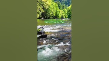 إِنَّ الْمُتَّقِينَ فِي جَنَّاتٍ وَعُيُونٍ #آيات #الحجر #ماهر_المعيقلي