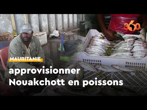 #Mauritanie: des industriels de la pêche soutiennent la politique visant un large accès aux poissons