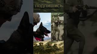 Лучший друг снайпера #11снайпер #воин #солдаты #армия #война #оружие #собаки #пёс #животные #шортс1