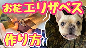 エリザベスカラーの作り方 フェルト編 Youtube エリザベスカラーの作り方 フェルト編 Youtube