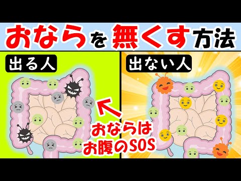 おならが臭い・多い人は見て！オナラを無くす方法！おならが止まらない人必見【屁｜腸内環境｜腹｜よく出る｜音】