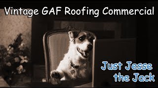 Dog prepares house for storm GAF Roofing Commercial