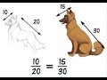 Ratio, Proportion, Percent, Quadratics