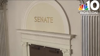Mass. Senate votes to pass gun reform bill