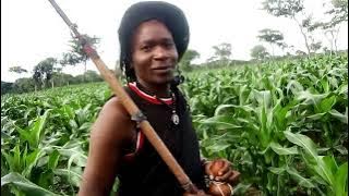 NYANDA MLOLA ANATENANGENEZA  DAWA MPYA 2025 official video