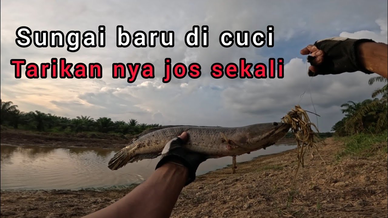 Casting spot baru cuci ikan nya bayak sekali. 