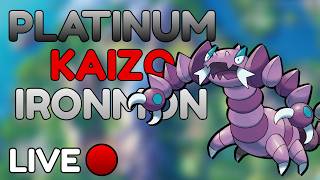 Continuing My First Ever PLATINUM KAIZO IRONMON | Live