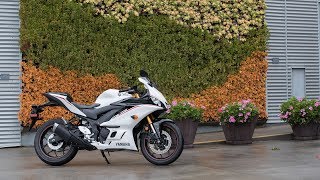 2019 Yamaha Yzf-R3 Review Mc Commute