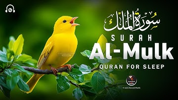 Surah Al-Mulk سورة الملك | Majestic Lofi Quran for Deep Sleep & Emotional Peace #quranforsleep