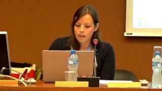 Rebecca Brown at HRC27 Side-Event