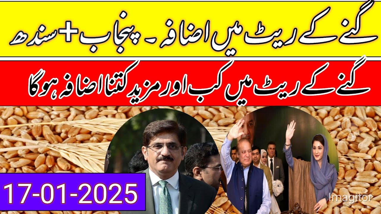 shugarcane rates in punjab pakistan/