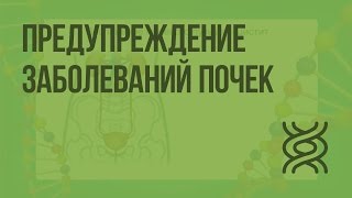 Предупреждение заболеваний почек. Видеоурок по биологии 8 класс