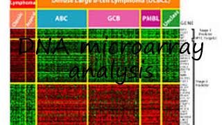How to pronounce DNA microarray analysis in English?