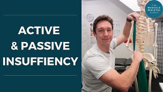 Active and passive insufficiency | The MSK Physio