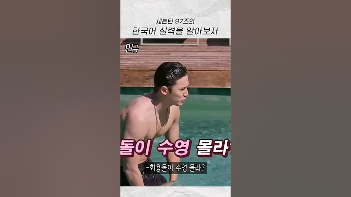 [세븐틴] 97즈 레전드 어록