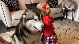 Adorable Baby Girl Convinces Her Dog To Go To The Vet! (Cutest Ever!!)