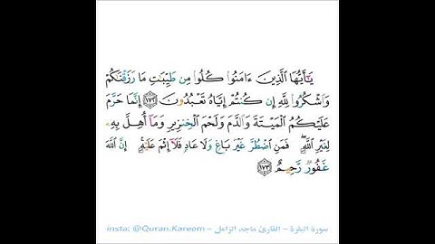 القارئ ماجد الزامل - سورة البقرة - من الآية 172 إلى الآية 173