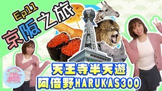 【大阪自由行Vlog】京阪之旅Ep.11天王寺動物園|阿倍野 ...